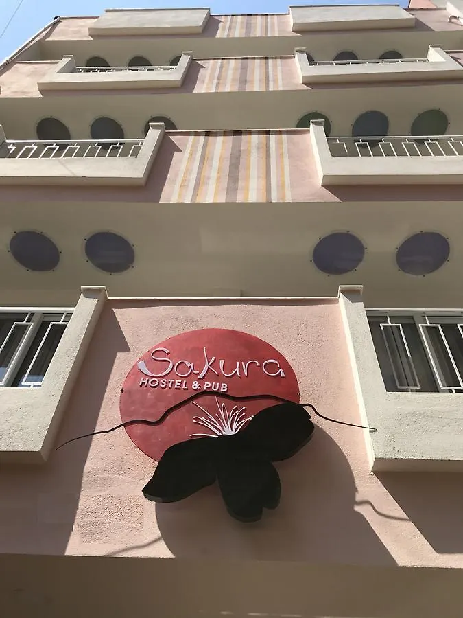 بيت شباب ساكورا سوت فتحية 0*,  تركيا
